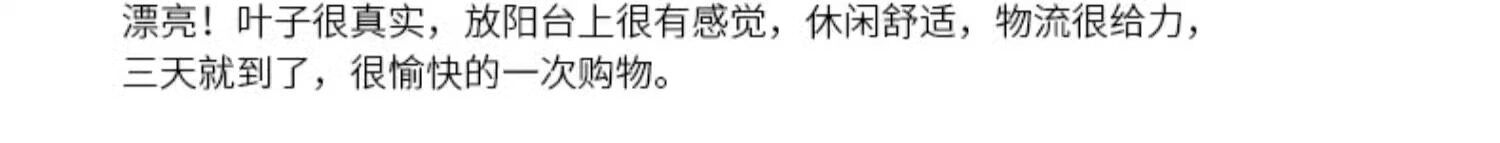 бонсай 彷真绿色植物旅人蕉高端轻奢大型天堂鸟客厅室内盆栽假绿植物落地摆件