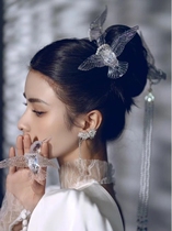 New trendy Hanfu headdress tassel plate womens hairpin bridal style wedding dress hair accessories magpie bird suit accessories women