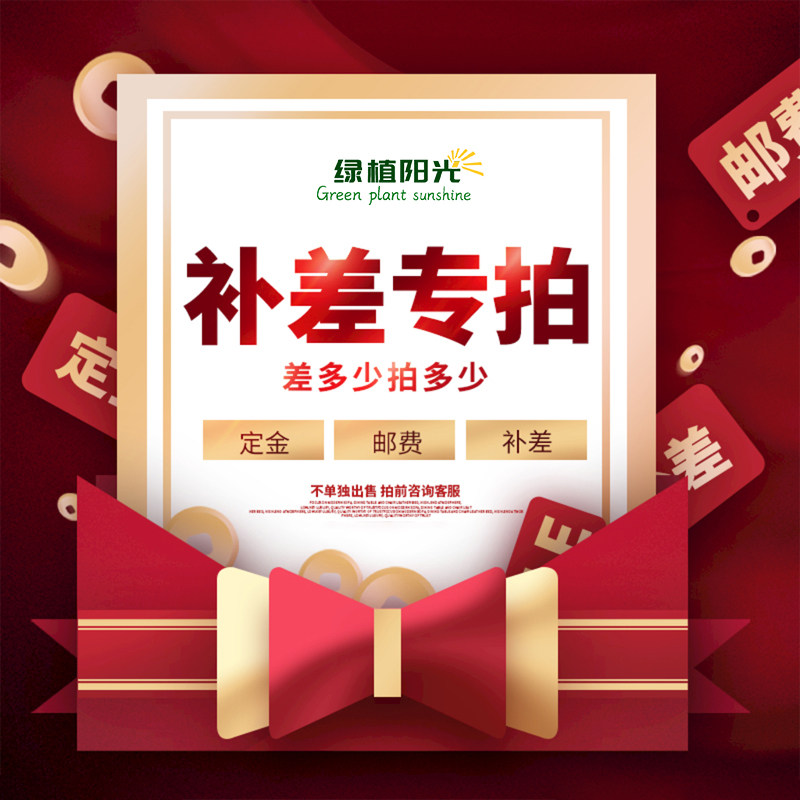 专用补拍链接邮费差价定制订金 补差价专拍补多少元实拍多少件1元