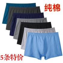 Mens underwear pure cotton boxer briefs breathable sweat-absorbent middle-aged and elderly large size fat mens loose daddy boxer shorts