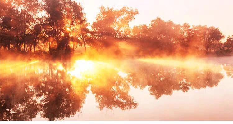 PS灯光工厂插件Knoll LightFactory炫光太阳光滤镜中文版 win ps2015-2024