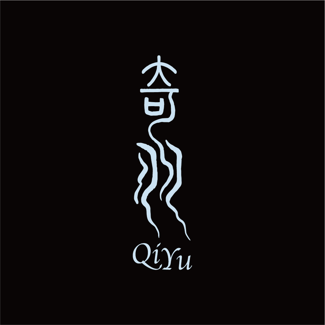 奇羽QIYU的LOGO