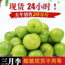 Spot Yunnan Fresh March Li Zinshu Li Ziyou now remove the sour and crisp Li Zi the whole of Li Zizi pregnant women