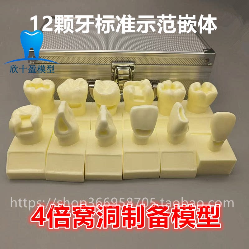 牙科口腔模型 4倍大窝洞制备模型 四倍牙齿备牙标准示范嵌体洞型