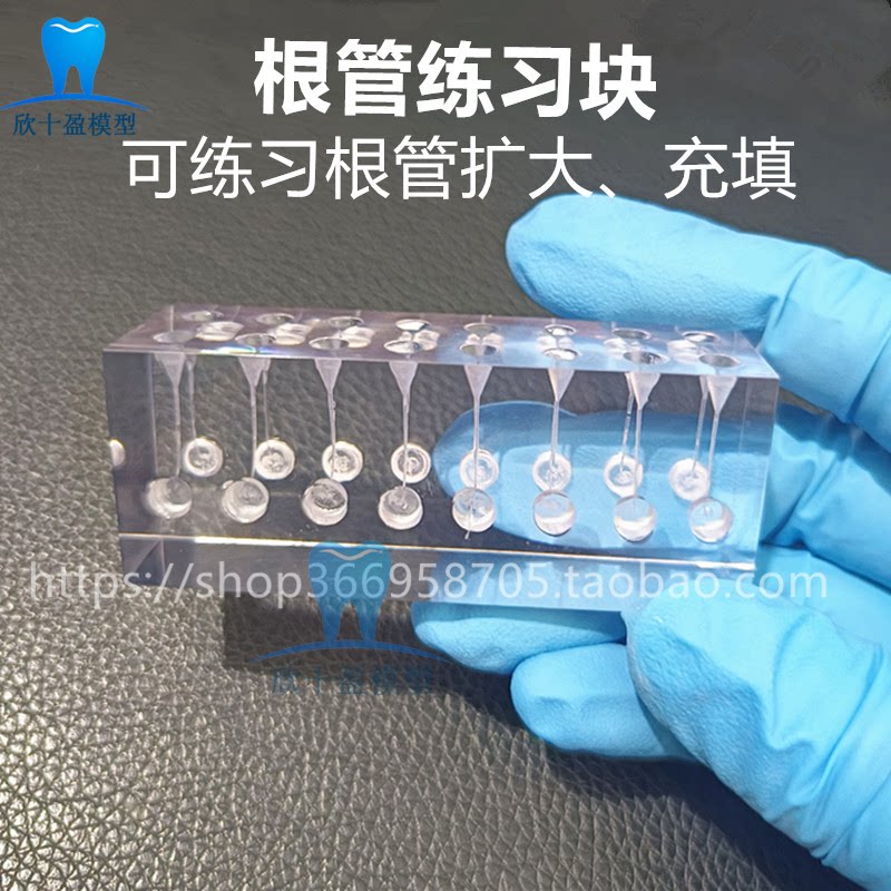 牙科模拟牙体牙髓学生根管练习块 预备填充模型热牙胶充填机扩