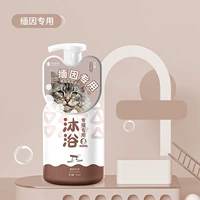 Общего назначения для штата Мэн