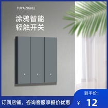 Switch series coated with ZigBee smart hotel home switch panel wall socket wireless voice control