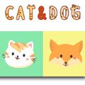CAT＆DOG
