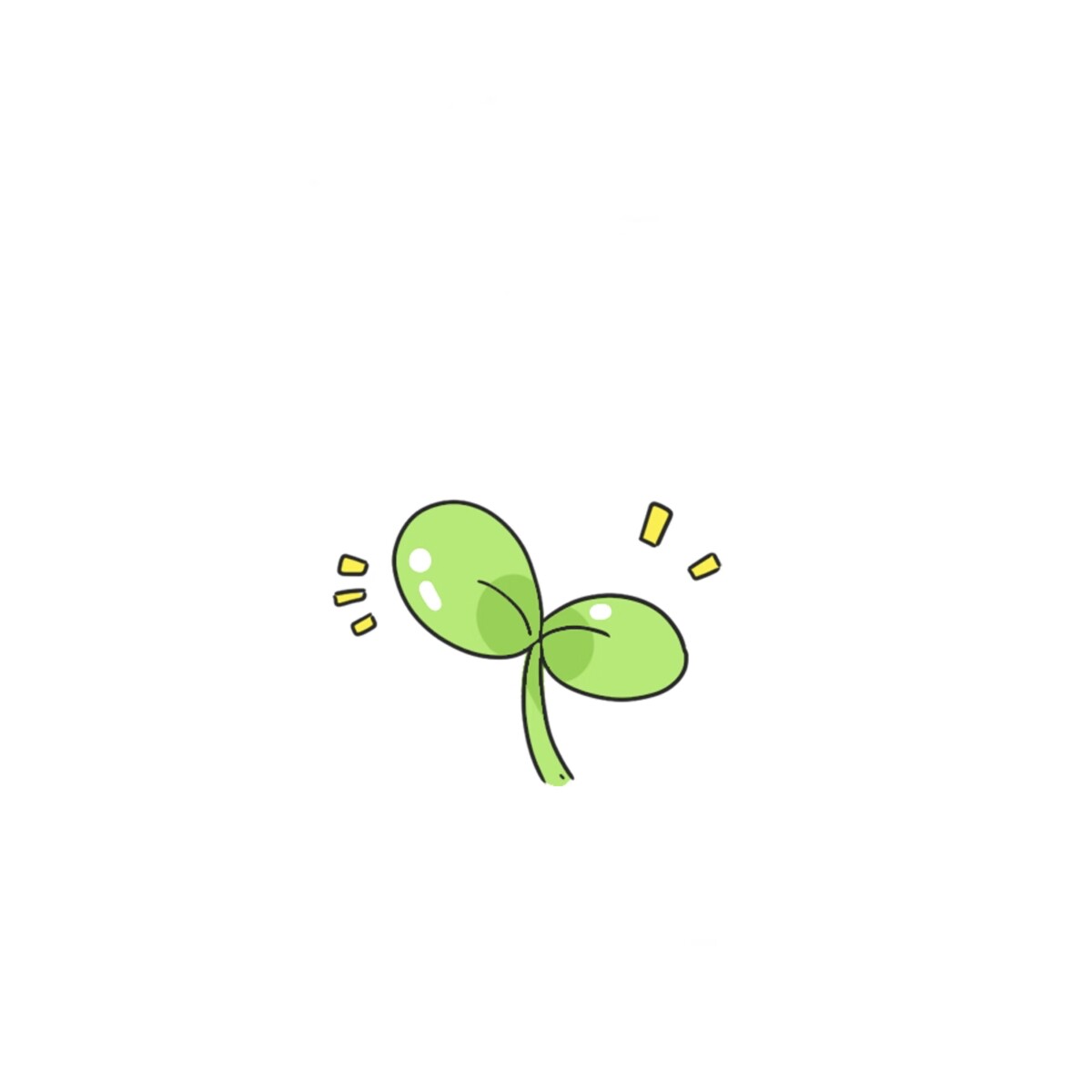 小豆芽优选