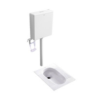 Arrow Cards 5006CG Squatting Pan Water Tank Whole Home Toilet Squat Pit Integrated Toilet Toilet Deodorant Squat Toilet