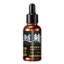 Silver carp and bighead carp small medicine special bait companion food attractant floating fishing fish attractant big head fish square bait white silver carp additive