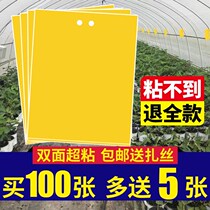 Yellow-plate Yellow-sided Glass Glass Glass Glass Double-sided Glass Glass Growth Glass