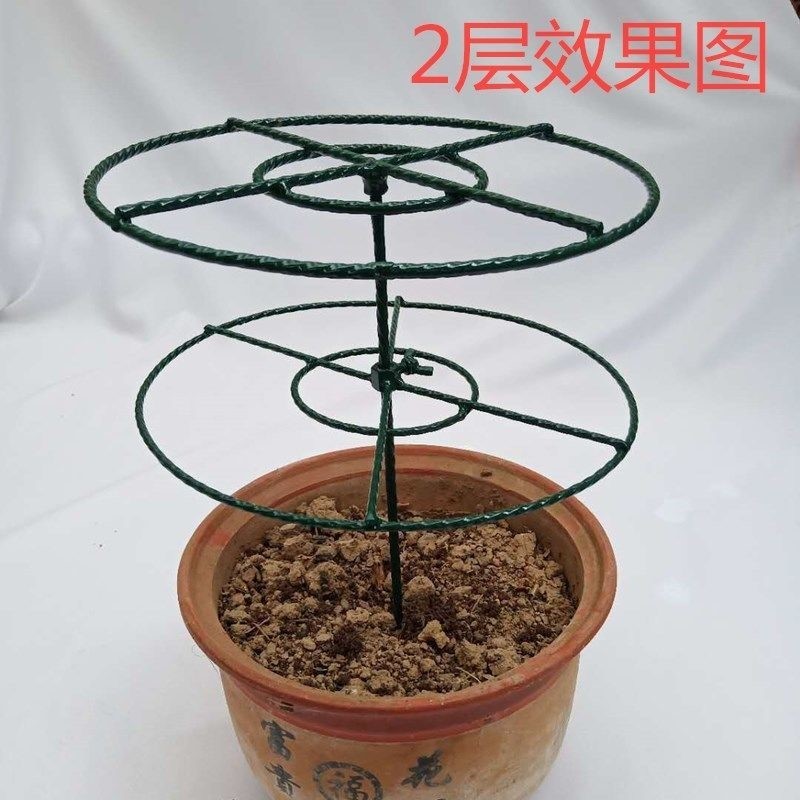 Crab claw orchid special bracket vine plant climbing rattan shelf flower bracket ball orchid climbing rattan frame flower support grafting