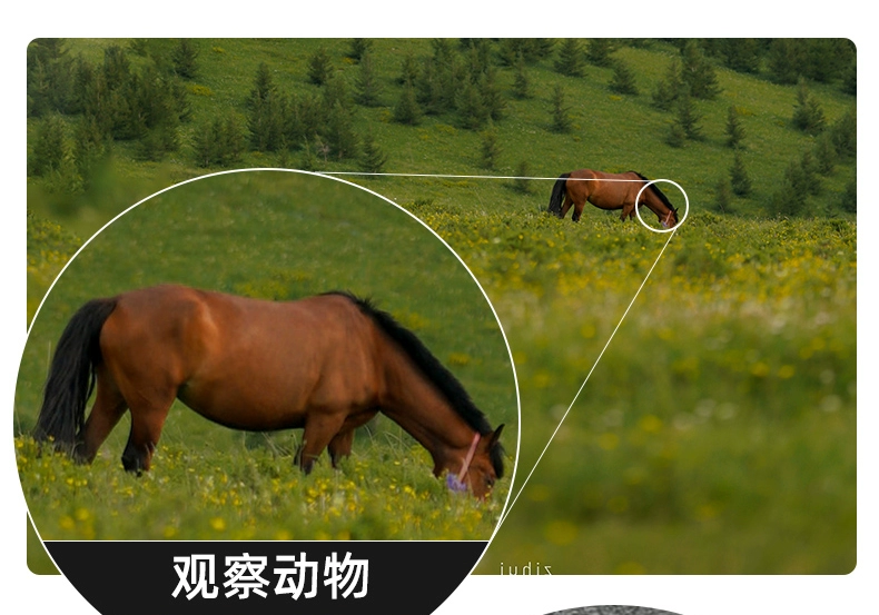ống nhòm chính hãng Kính thiên văn một mắt Oaks công suất cao độ phân giải cao chuyên nghiệp ngoài trời buổi hòa nhạc di động máy ảnh điện thoại di động tầm nhìn ban đêm của trẻ em công dụng của ống nhòm ống nhòm nhìn đêm
