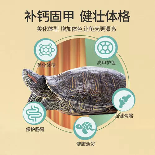 Китайская черепаха с черепахой кормил малые черепахие чернила черепаха молодая черепаха Универсальное полуотер зерно зерно