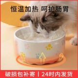 Зимняя постоянная температура нагревание чаша напитки водяной машины кошка керамический напиток вода для собаки тепловой водонагреватель йогурт машины зерновой чаша для питомцы