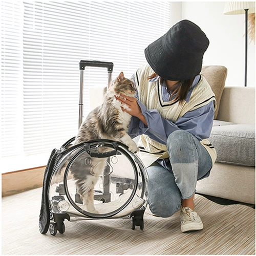 Чемодан, тележка, портативный космический рюкзак для выхода на улицу, домашний питомец, кот