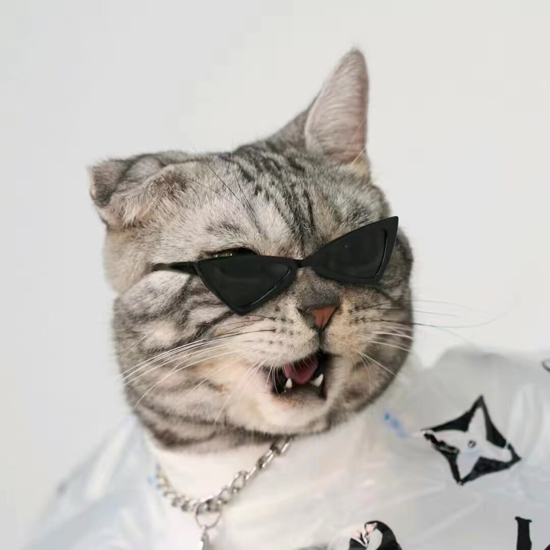 时尚猫帮