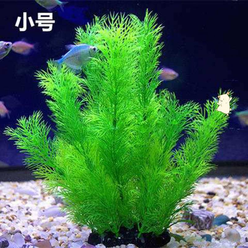Decorations in the Fish Tank, Simulated Aquatic Plants, Aquarium Landscaping, Fake Aquatic Plants, Soft Aquatic Plants, Plastic Aquatic Plants, Green Decorations in the Fish Tank, Simulated Aquatic Plants, Aquarium Landscaping, Fake Aquatic Plants, Soft Aquatic Plants, Plastic Aquatic Plants, Green