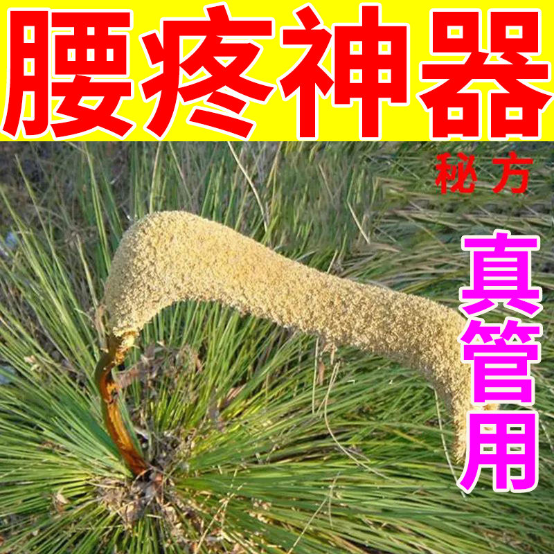 (Get better fast) Lumbar disc herniation stickers compress nerves and lumbago causing pain and numbness Use lumbar pain stickers YY