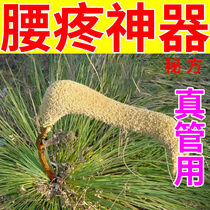 (Get better fast) Lumbar disc herniation stickers compress nerves and lumbago causing pain and numbness Use lumbar pain stickers YY