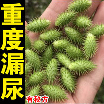 (Stop leaking urine) postpartum urine leakage stickers for middle-aged and elderly women special repair bouncing cant hold back urine health care stickers YZ