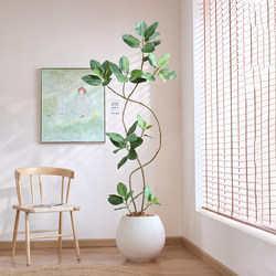 Sen Space Simulated Green Plants Alpine Banyan Menggar Banyan Classy Accessible Luxury Large Fake Tree Decoration Living Room Floor-Standing Potted Plants