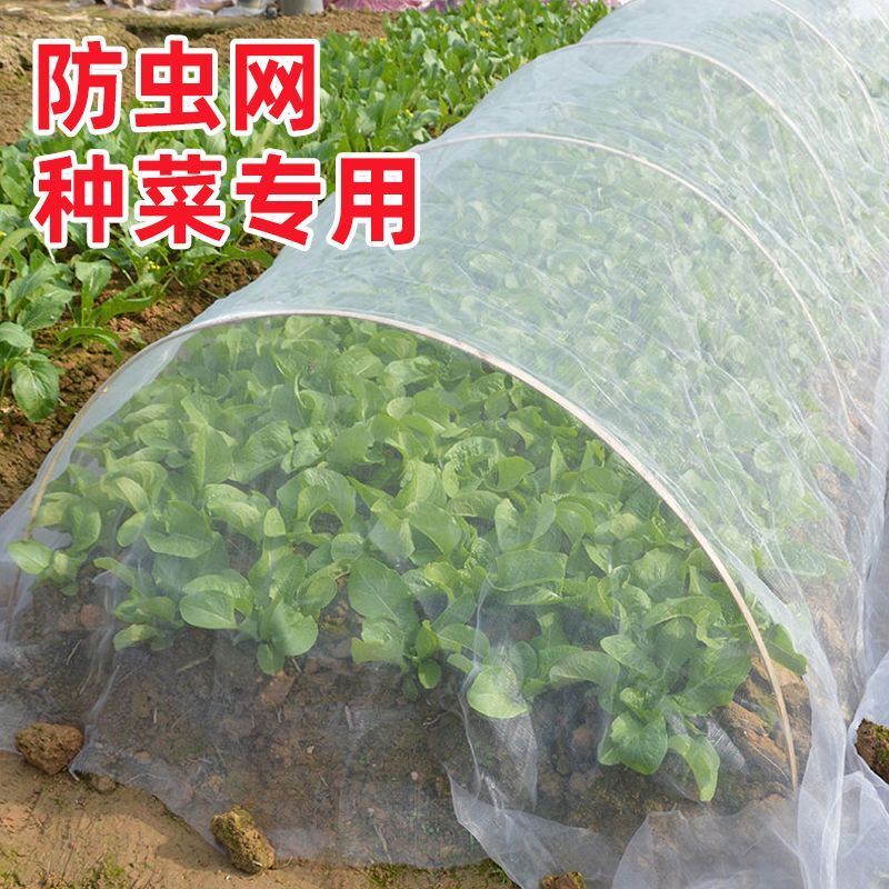 Insect-Proof Net for Growing Vegetables, 80-Mesh Insect-Proof Cover, Encrypted Mesh Net for Vegetable Seedlings, Vegetable Fields, Orchards, and Bird-Proof Cover for Vegetables Insect-Proof Net for Growing Vegetables, 80-Mesh Insect-Proof Cover, Encrypted Mesh Net for Vegetable Seedlings, Vegetable Fields, Orchards, and Bird-Proof Cover for Vegetables
