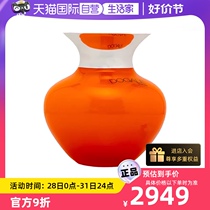 (Self-operated) Dogale Venezia Italian handmade orange vase European style luxury small flower vase
