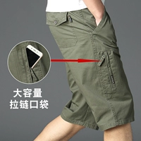 555 армия зеленый