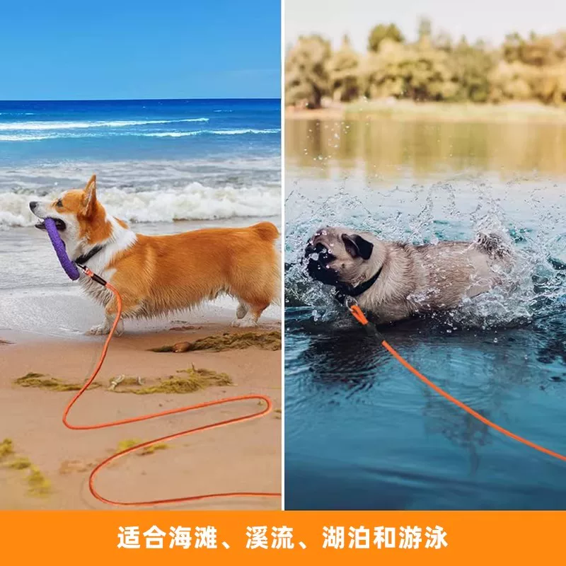 Summer set, interactive toy, pet