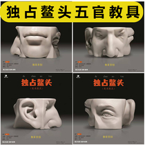 Facial features teaching aids facial features combination combination facial features body block facial features structure learning artifact art sketch teaching aids