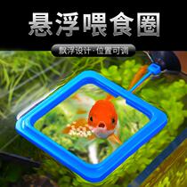 Fish food feeding circle feeding circle aquarium feeding circle fish tank feeding circle small goldfish fish grain fish feed feeder
