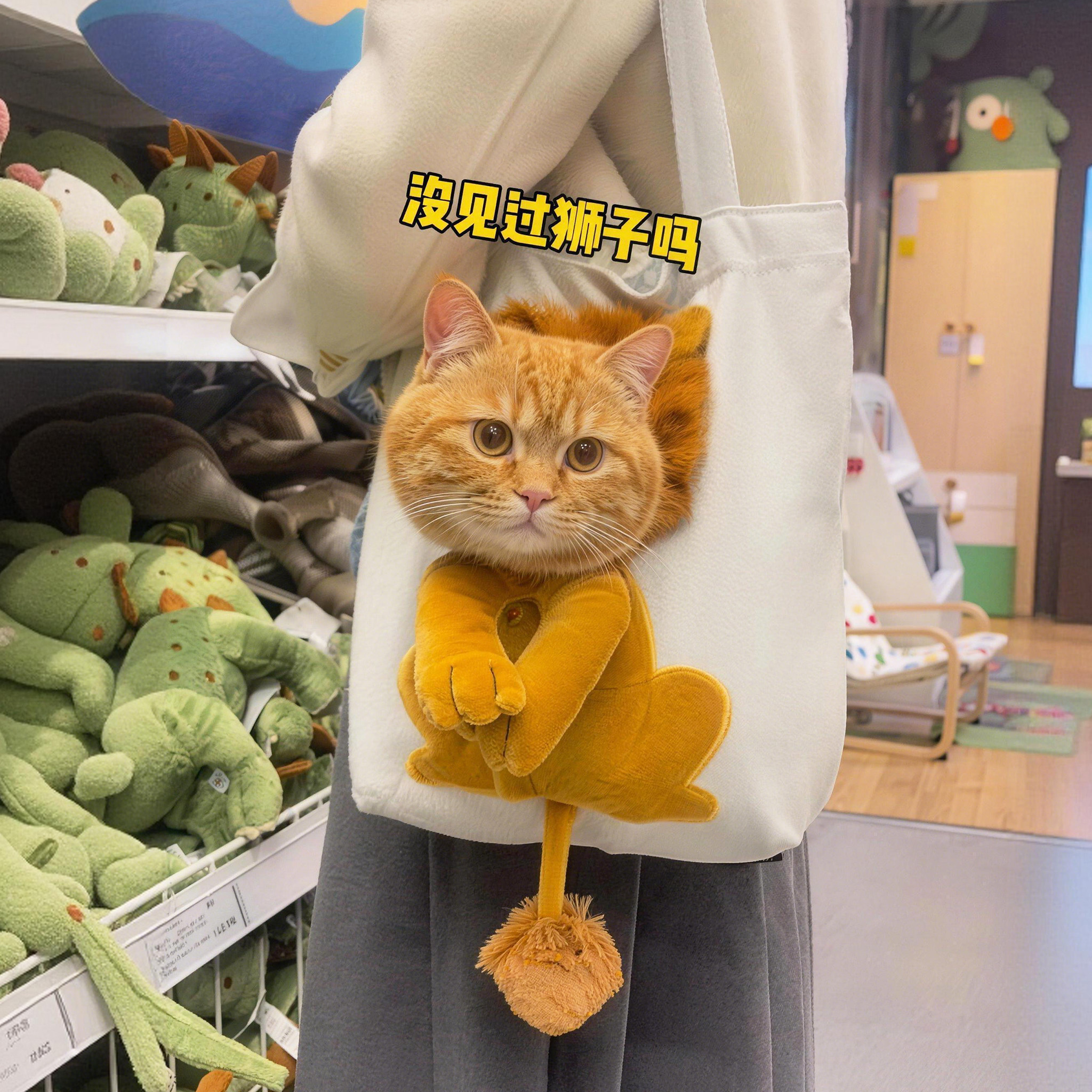 猫包外出便携轻便款宠物外出包社会化训练小狗背包高颜值防应激