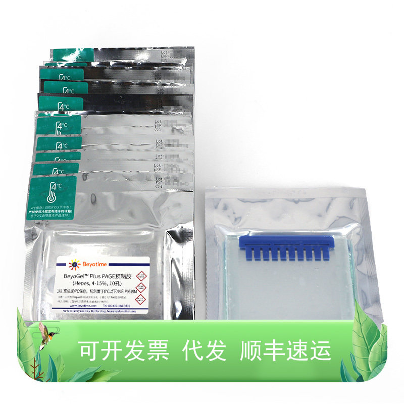 BeyoGel? Plus PAGE预制胶(Hepes, 4-15%, 10孔)