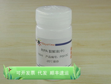 RIPA裂解液(中) P0013C 碧云天生物 Beyotime