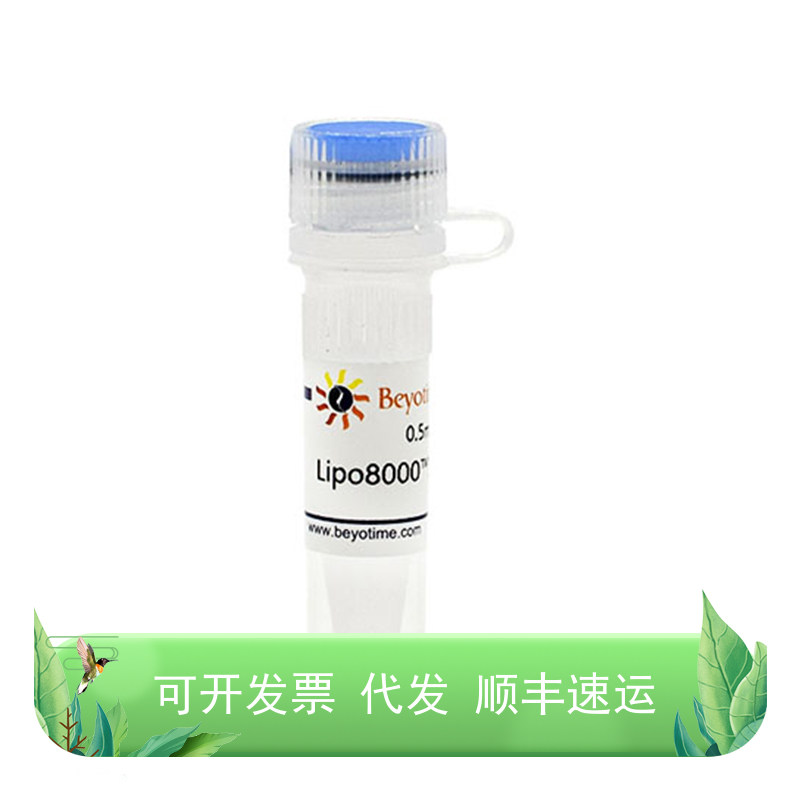Lipo8000?转染试剂