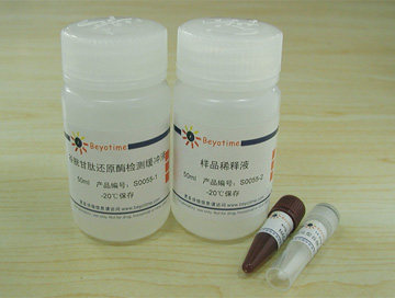 谷胱甘肽还原酶检测试剂盒(DTNB法) S0055 碧云天生物 Beyotime