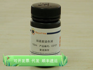 结晶紫染色液 C0121 碧云天生物 Beyotime