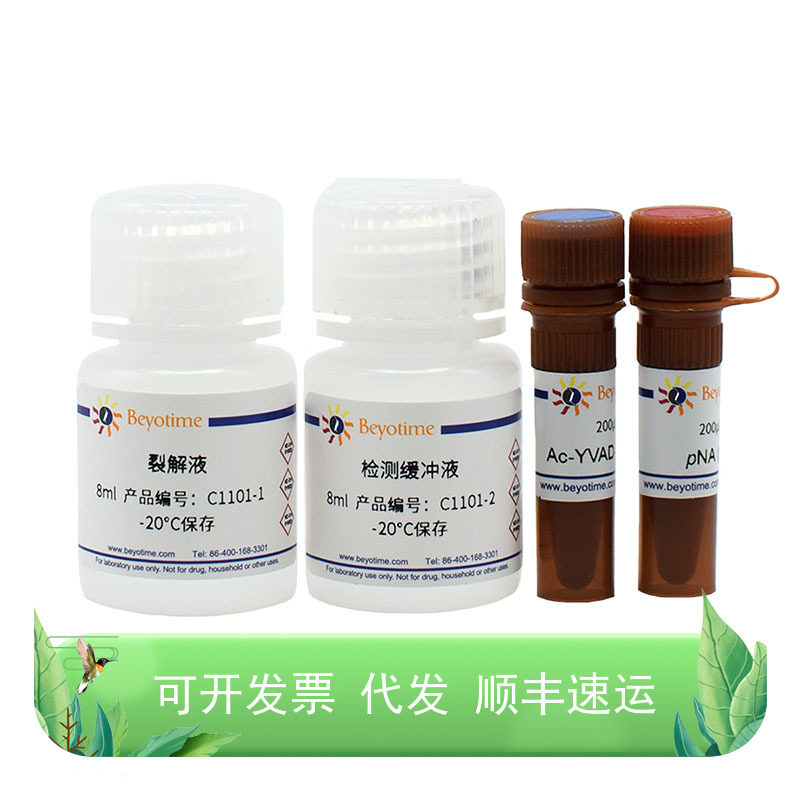 Caspase 1 活性检测试剂盒