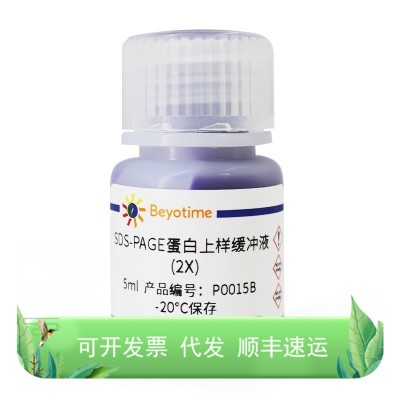 SDS-PAGE蛋白上样缓冲液(2X)