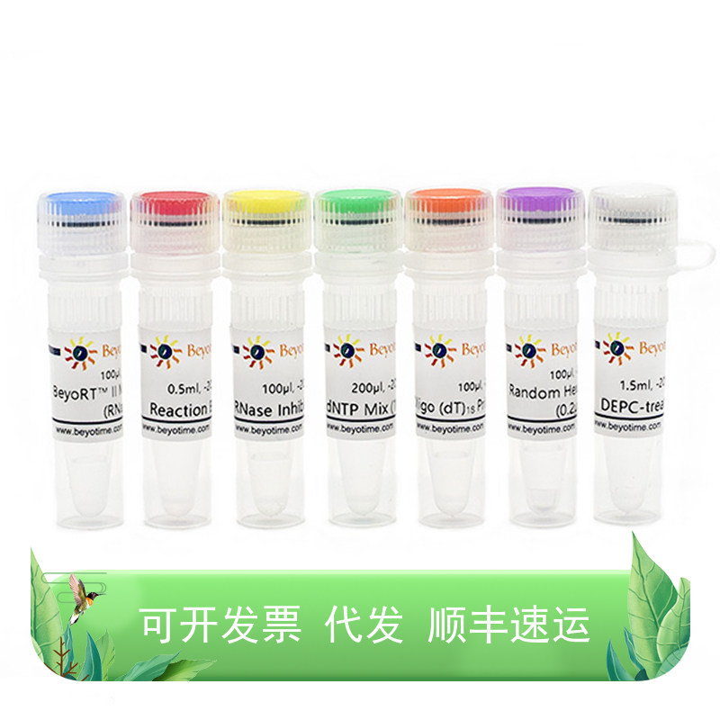 BeyoRT? II cDNA第一链合成试剂盒(RNase H-)