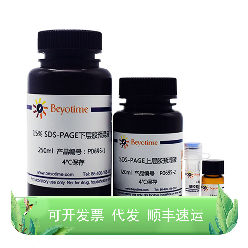 15% SDS-PAGE凝胶超快速配制试剂盒