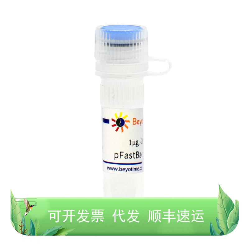 pFastBac1-C-EGFP昆虫杆状病毒表达质粒核酸相关菌种与质粒昆虫与
