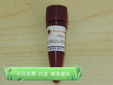 FITC标记山羊抗小鼠IgG(H+L) A0568 碧云天生物 Beyotime