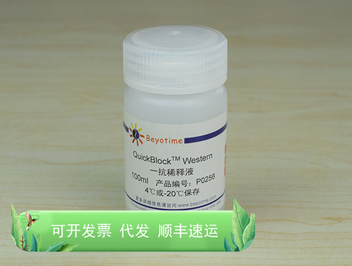 QuickBlock?? Western一抗稀释液 P0256 碧云天生物 Beyotime