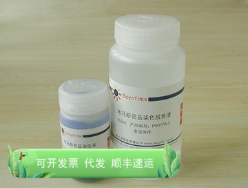 考马斯亮蓝染色试剂盒(常规法) P0017A 碧云天生物 Beyotime