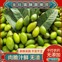 Freshly picked green olives fresh olive fruit 2500g eaten raw for soup olive green fruit seasonal fruit for pregnant women 5 pounds