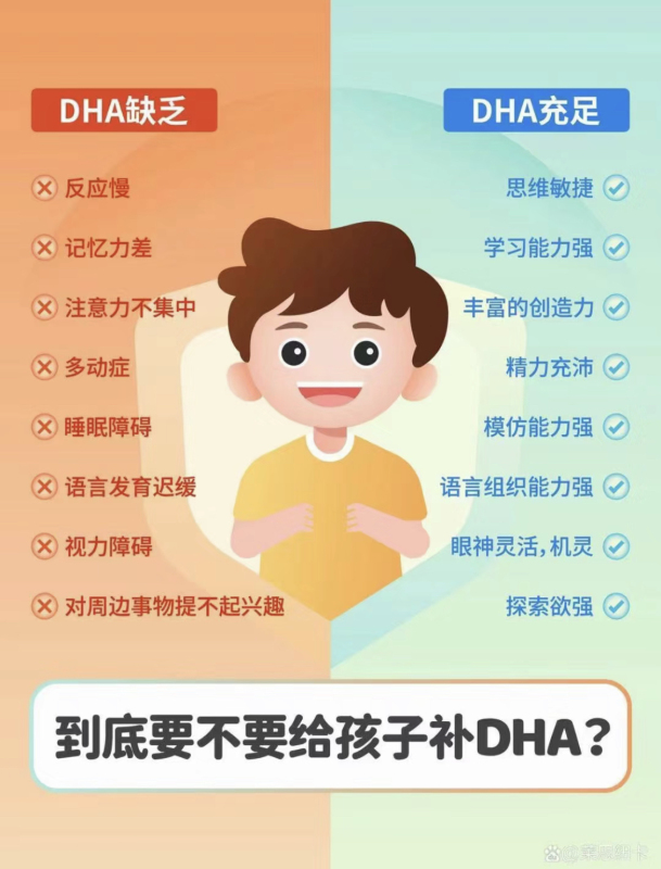 【Double a Dha】Help Your Child Get Ahead in Life ~ a Great Partner for Work and Exam Preparation