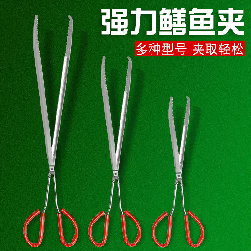 Stainless steel yellow eel special new clip lobster crab cramp lengthened anti-slip grip mud loach pliers catch-up tools